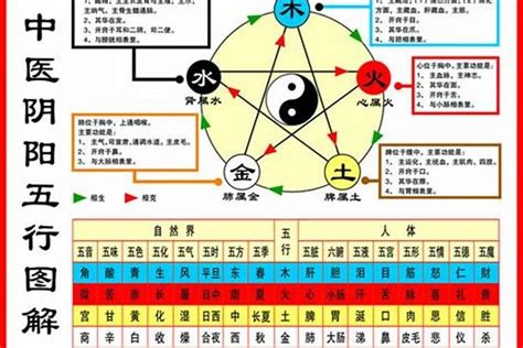 看自己的五行